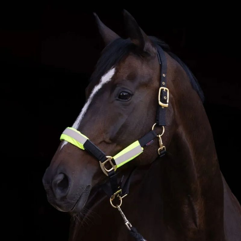Reflective Set for Halter/Bridle 3-pack Yellow