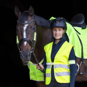 Reflective Set for Halter/Bridle 3-pack Yellow Reflective Set for Halter/Bridle 3-pack Yellow