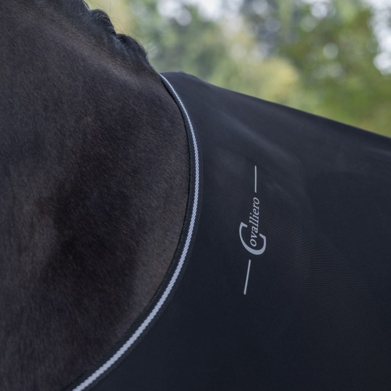 Walker Rug RugBe Black