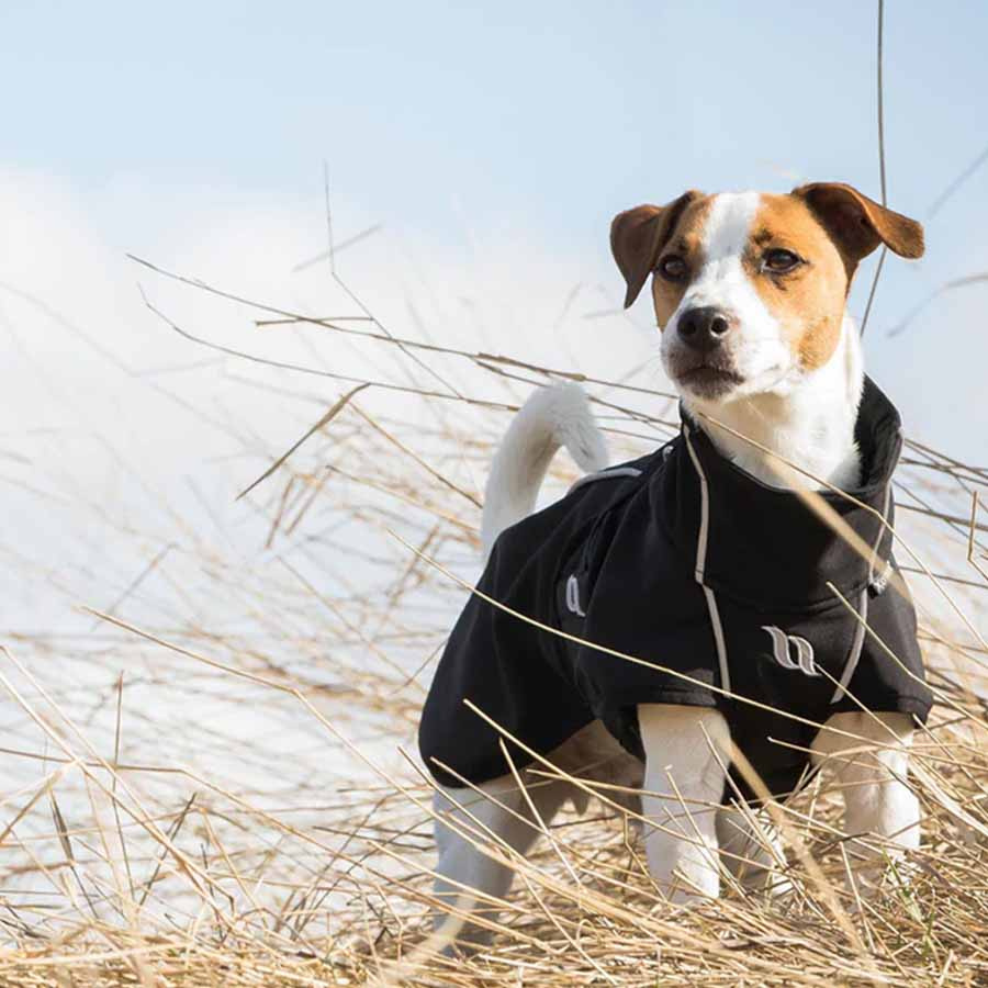 Bark Dog Blanket Black