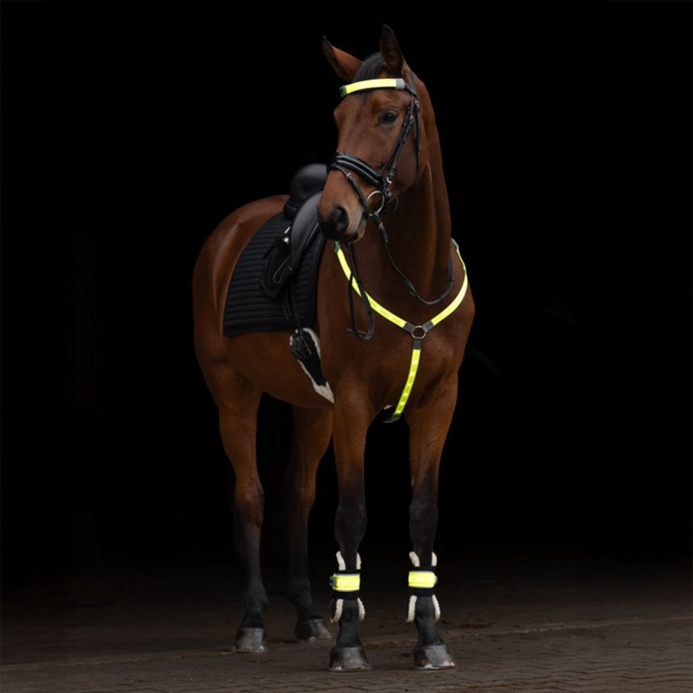 Leg Reflectors High-Visibility LED 2-pack Yellow