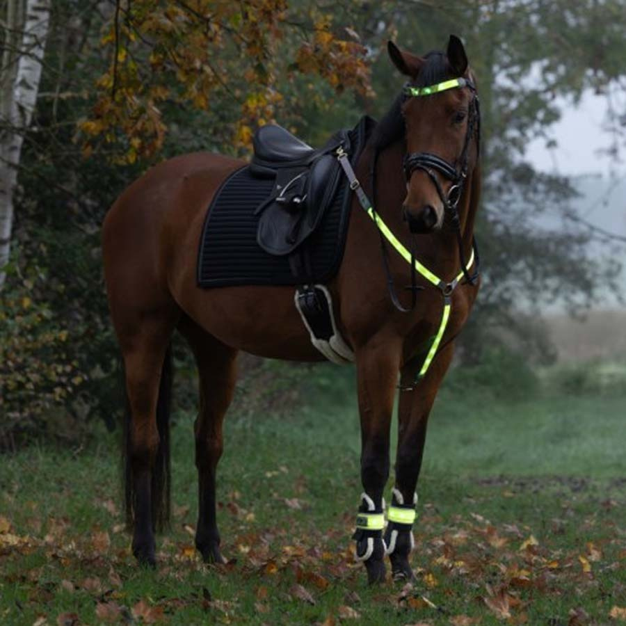 Leg Reflectors High-Visibility LED 2-pack Yellow