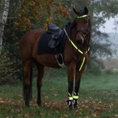 Leg Reflectors High-Visibility LED 2-pack Yellow Leg Reflectors High-Visibility LED 2-pack Yellow