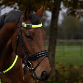Headband High-Visibility LED Yellow Headband High-Visibility LED Yellow