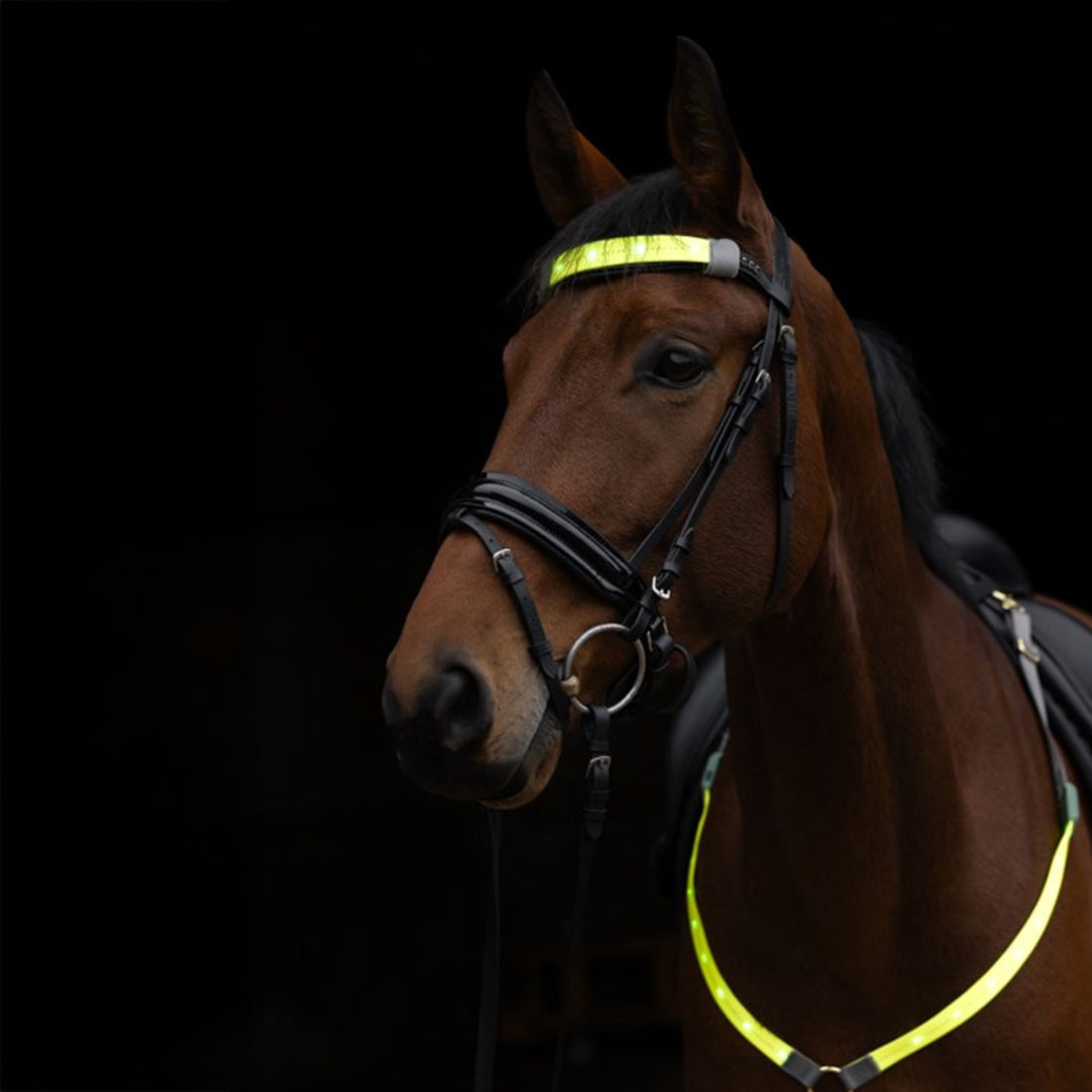 Headband High-Visibility LED Yellow