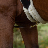 Chest High-Visibility LED Yellow Chest High-Visibility LED Yellow