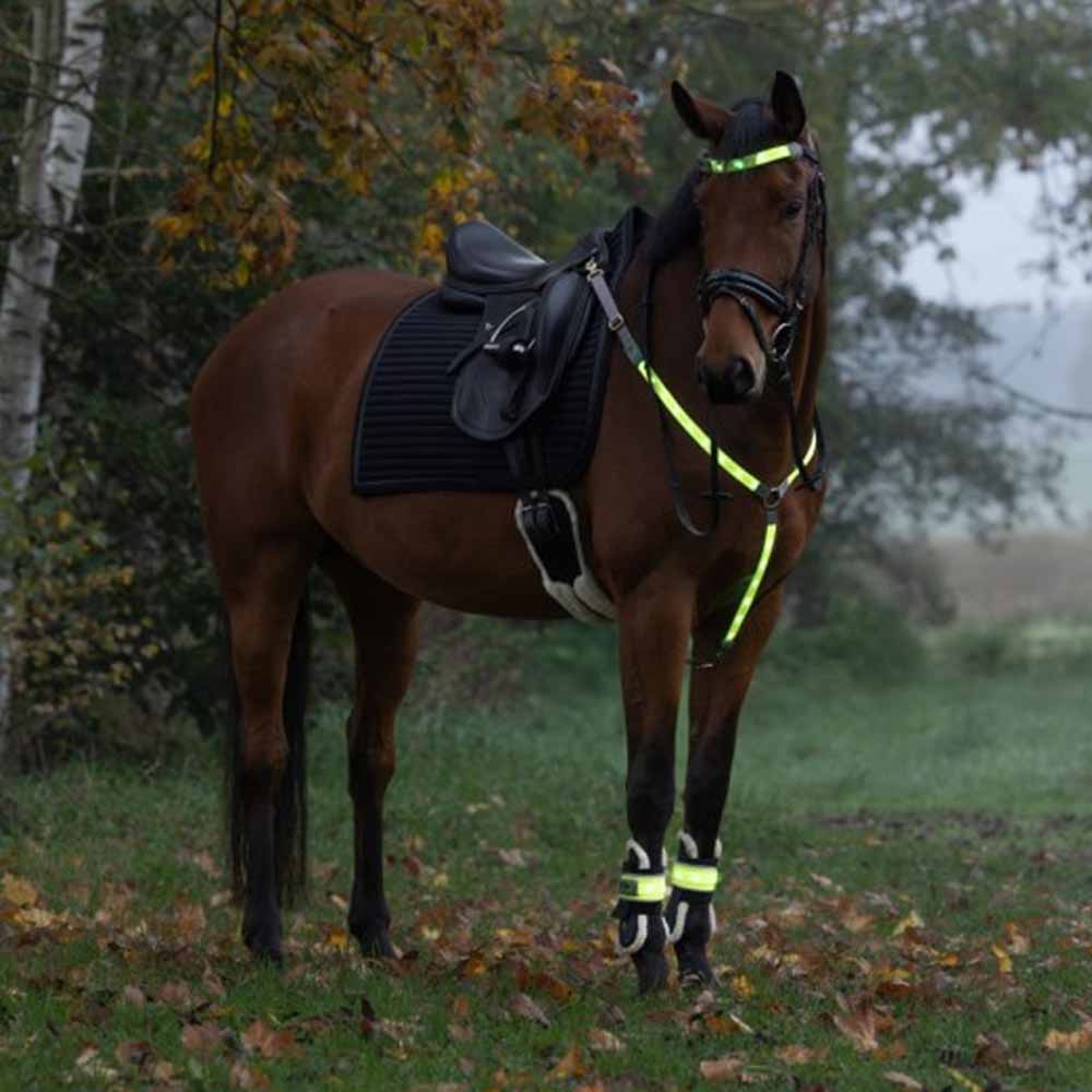 Chest High-Visibility LED Yellow