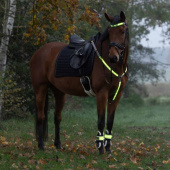 Chest High-Visibility LED Yellow Chest High-Visibility LED Yellow