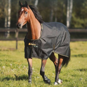 Turnout Rug Irish Turnout 100g Black/Gold Turnout Rug Irish Turnout 100g Black/Gold