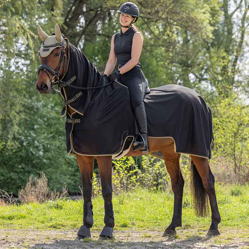 Exercise Fly Rug Anatomical Black