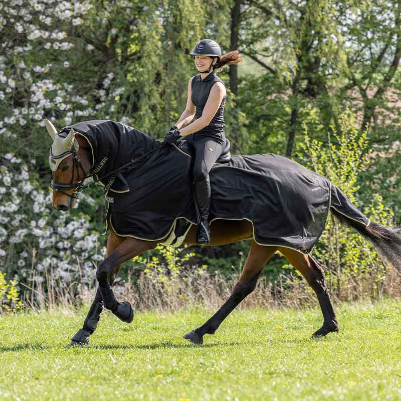 Exercise Fly Rug Anatomical Black
