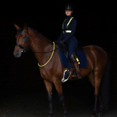 Reflex LED Functional Vest Yellow Reflex LED Functional Vest Yellow