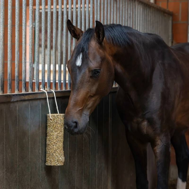 Horse Toy Nibbler Stick Metabolism