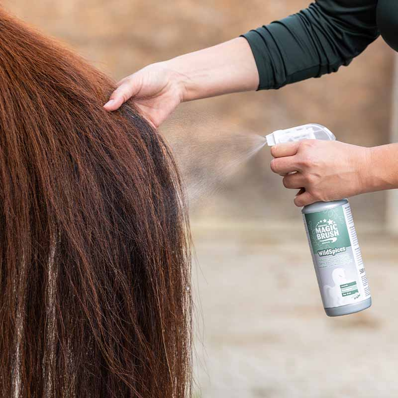 Coat Shine Premium Wild Spices 500 ml