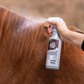 Coat Shine Premium Coco Bello 500 ml Coat Shine Premium Coco Bello 500 ml