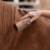 Shedding Blade Fellboy Short Brown Shedding Blade Fellboy Short Brown