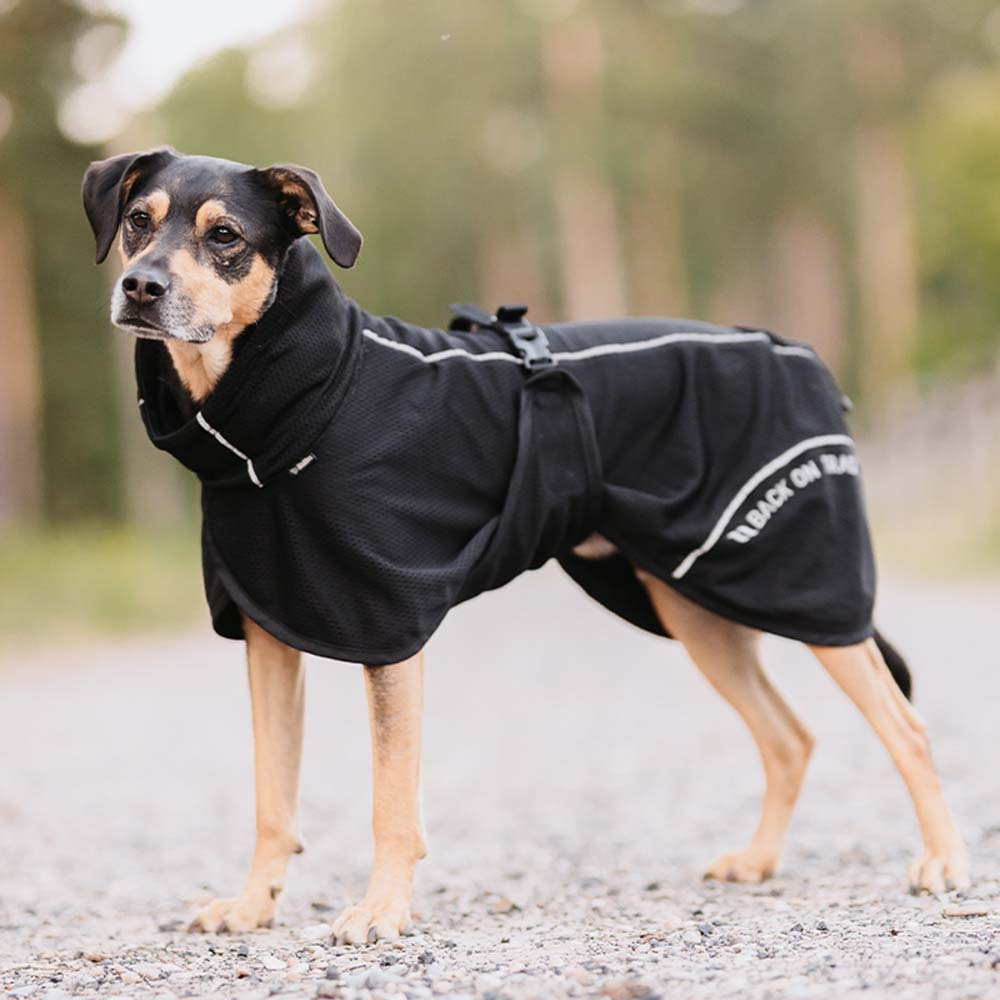 Dog Coat Mesh Bay High Tail Black