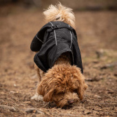 Raincoat Dog Bay High Tail Black Raincoat Dog Bay High Tail Black