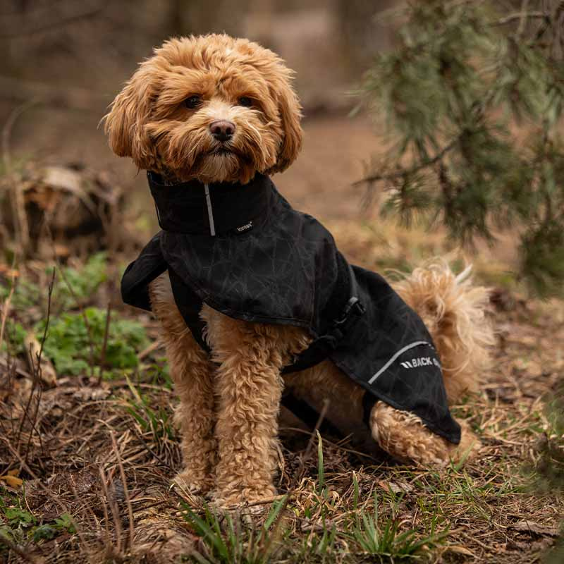 Raincoat Dog Bay High Tail Black