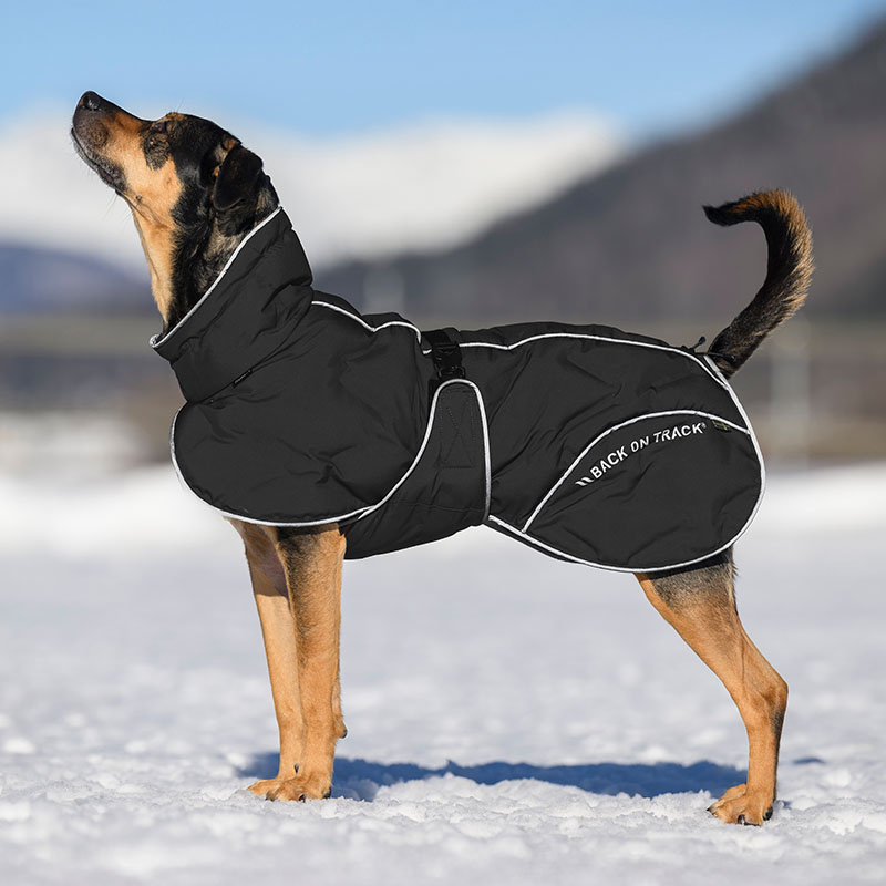 Dog Coat Winter Bay High Tail Black