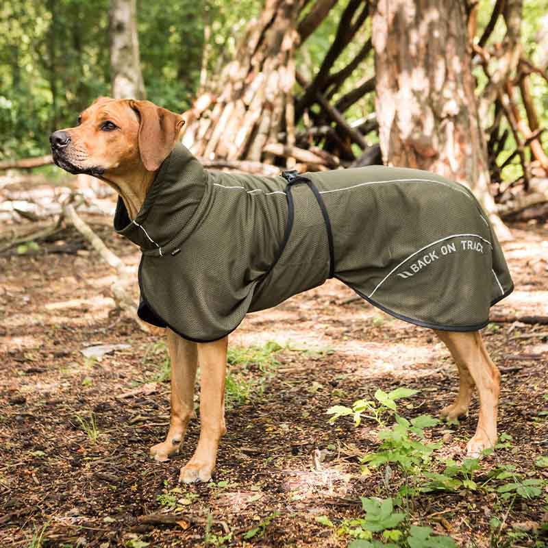 Dog Coat Mesh Bay Low Tail Olive Green