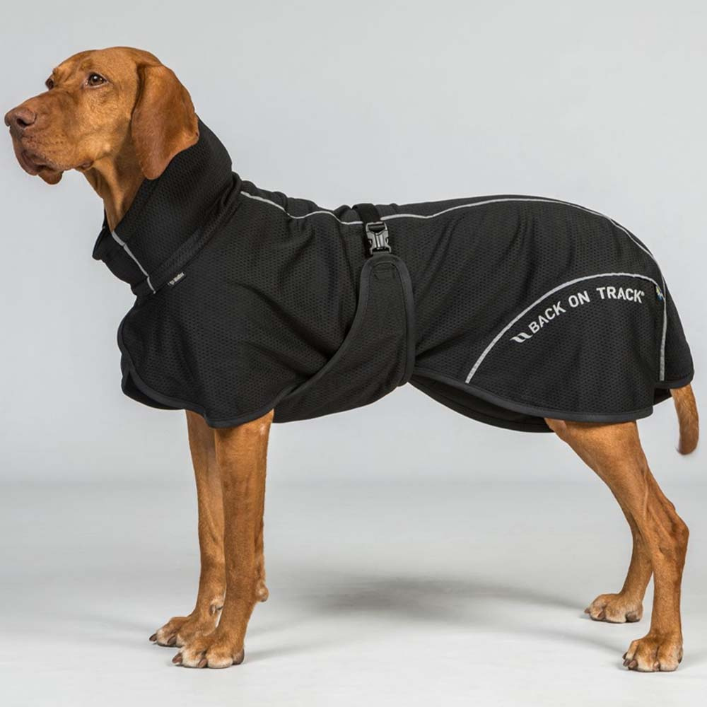 Dog Coat Mesh Bay Low Tail Black