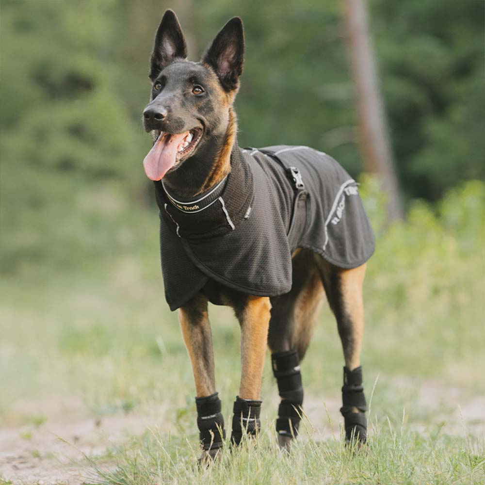 Dog Coat Mesh Bay Low Tail Black