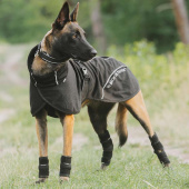 Dog Coat Mesh Bay Low Tail Black Dog Coat Mesh Bay Low Tail Black