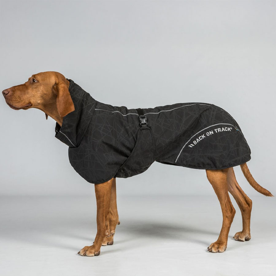 Raincoat Dog Bay Low Tail Black