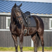 Dressage Saddle Pad Glitter Collection Black Dressage Saddle Pad Glitter Collection Black