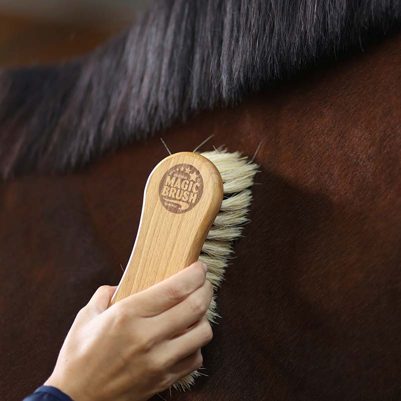 Brush Comb Bristle/Fiber