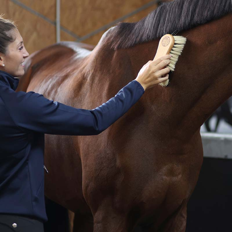 Brush Comb Bristle/Fiber