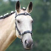 Bitless Bridle Caval Cavemore Black Bitless Bridle Caval Cavemore Black