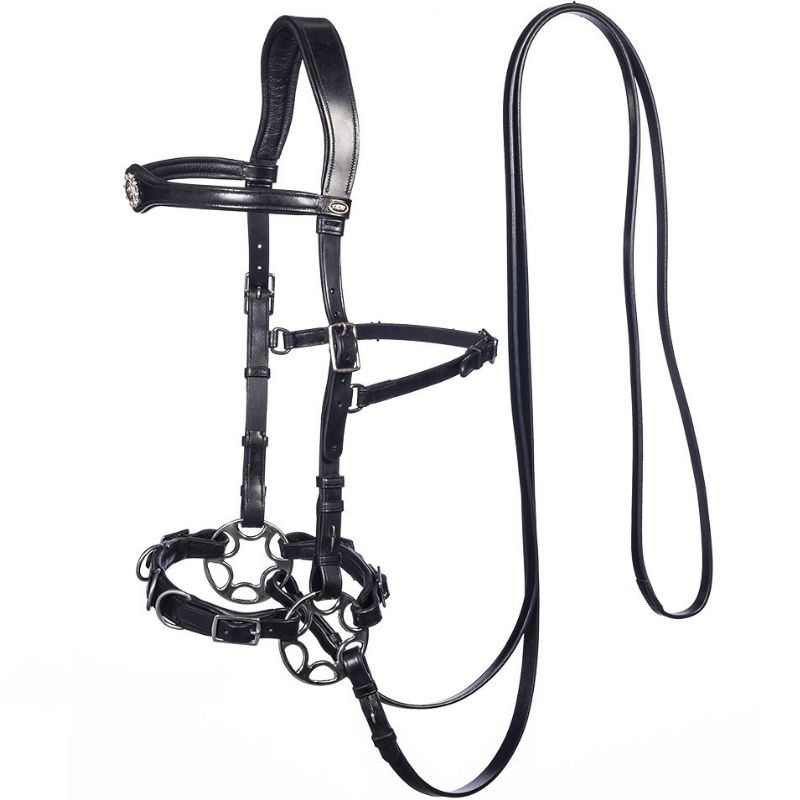 Bitless Bridle Caval Cavemore Black
