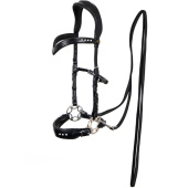 Hackamore Bridle Glory Black Hackamore Bridle Glory Black