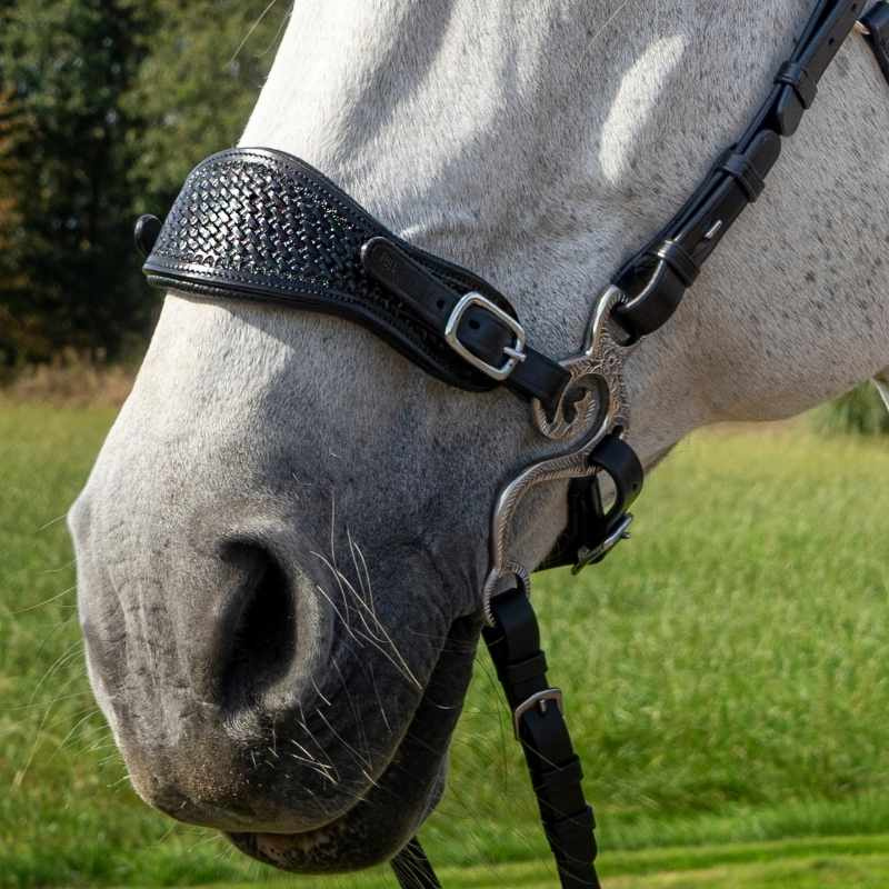 Hackamore Bridle Fiore Black