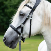 Bitless Bridle Isabel Sidepull Black Bitless Bridle Isabel Sidepull Black