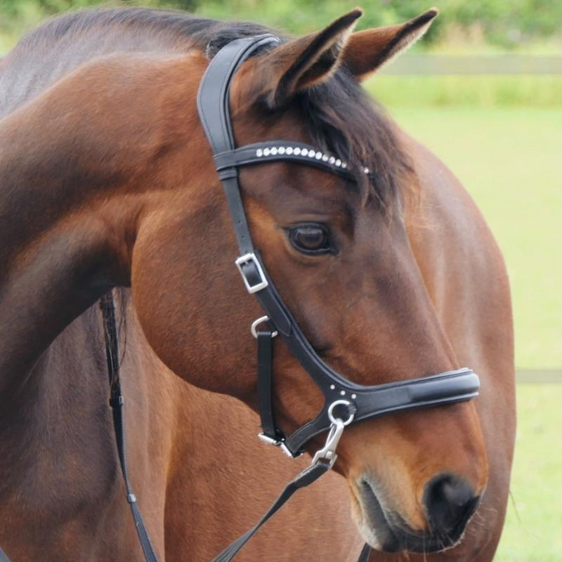 Bitless Bridle Rebecca Sidepull Black