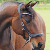 Bitless Bridle Rebecca Sidepull Black Bitless Bridle Rebecca Sidepull Black