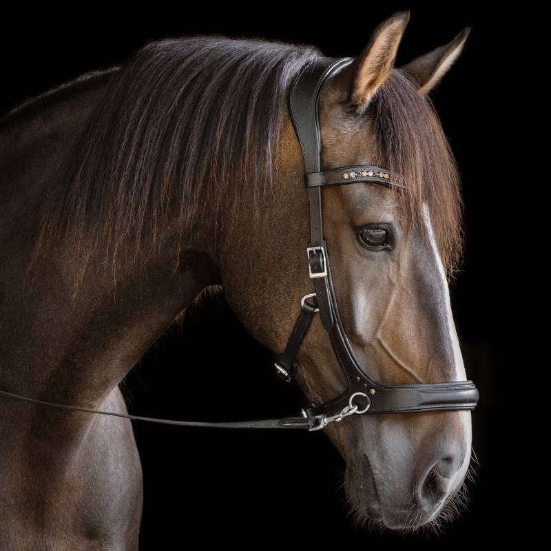 Bitless Bridle Moonlight Sidepull Black