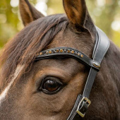 Bitless Bridle Moonlight Sidepull Black Bitless Bridle Moonlight Sidepull Black