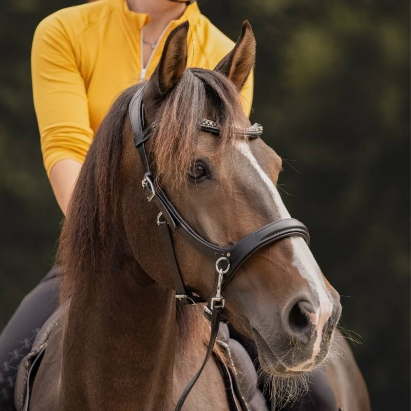 Bitless Bridle Moonlight Sidepull Black