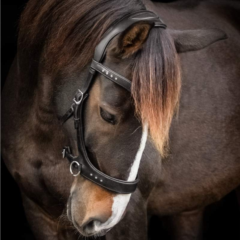Bitless Bridle Glory Sidepull Black