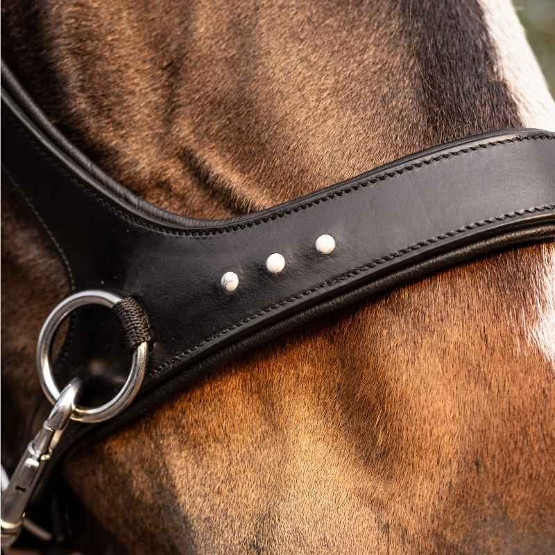 Bitless Bridle Glory Sidepull Black
