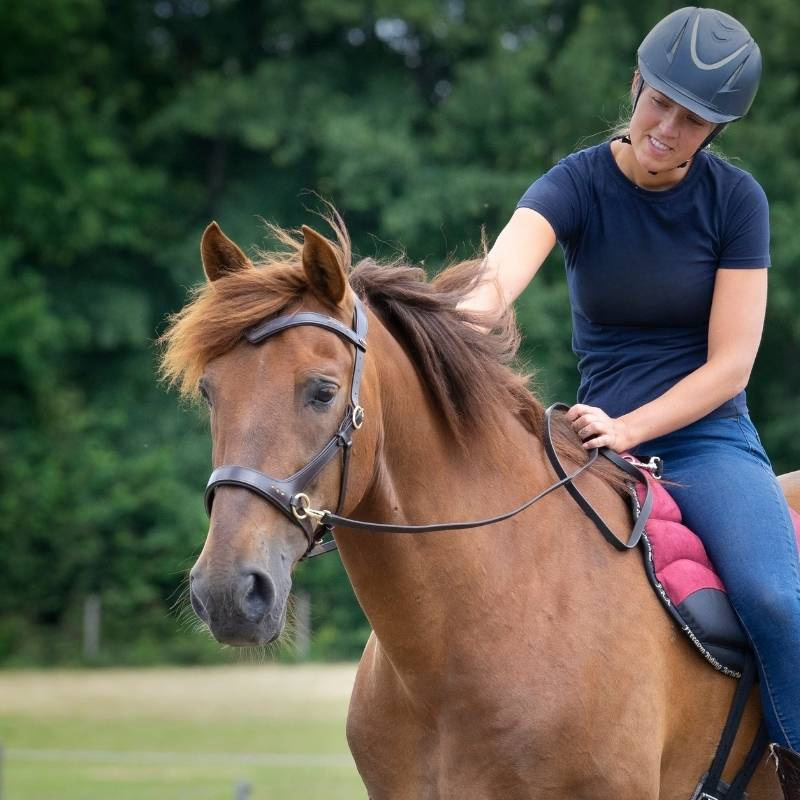 Bitless Bridle Glory Sidepull Brown