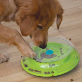 Interactive Dog Toy Wobble Bowl 0Level 1 Turquoise/Green Interactive Dog Toy Wobble Bowl 0Level 1 Turquoise/Green