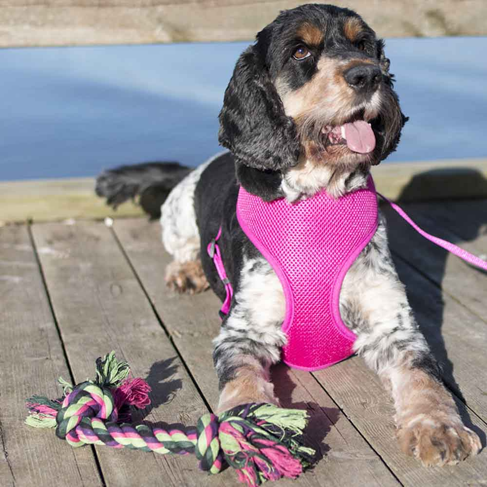 Dog Toy Vixen Rope Knots Green/Black/Pink