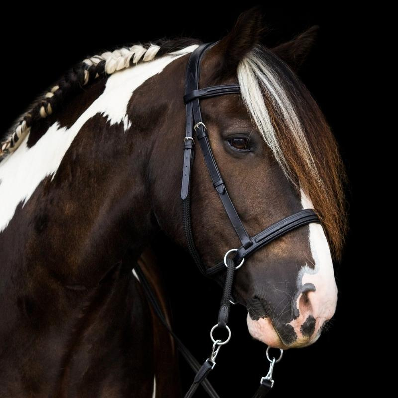 Bitless Bridle Dietsji Cross-Under Black