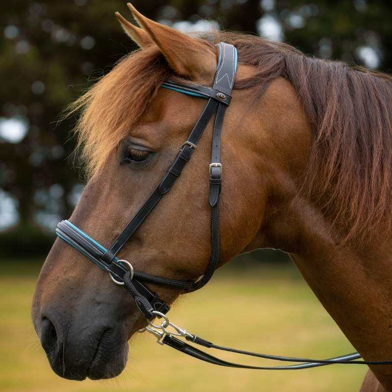 Bitless Bridle Dietsji Black/Blue