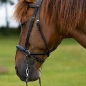 Bitless Bridle Dietsji Black/Blue Bitless Bridle Dietsji Black/Blue